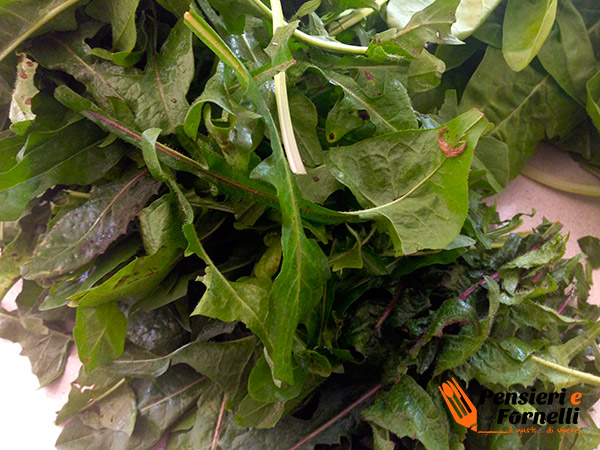 Minestra di scarole con fagioli e polpettine di pane