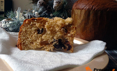 Ricetta natalizia - Panettone classico con lievito madre e gocce di cioccolato di Piergiorgio Giorilli