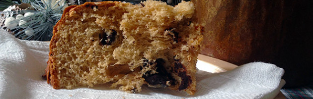 Ricetta natalizia - Panettone classico con lievito madre e gocce di cioccolato di Piergiorgio Giorilli