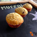 Muffin bianco con gocce di cioccolata