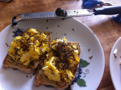 Crostini Con Uova Al Tartufo Di Pensieri E Fornelli